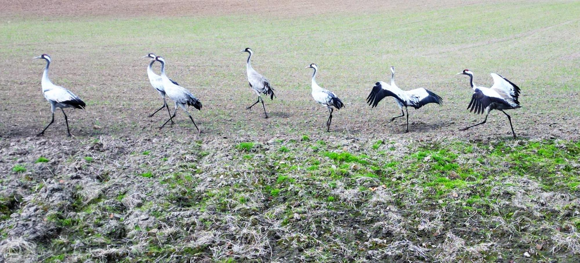 Lake Apart Ostroda - Widok, Przy Plazy, Aquapark, Parking Podziemny, Winda, Netflix מראה חיצוני תמונה